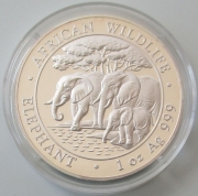 Somalia 100 Shillings 2013 Elefant PP