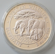 Somalia 200 Shillings 2013 Elefant PP
