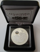 Somalia 100 Shillings 2026 Elefant Point of View Privy...