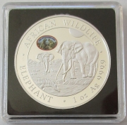 Somalia 100 Shillings 2026 Elefant Point of View Privy...