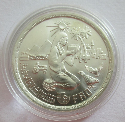Ägypten 1 Pound 1980 FAO Fortschritt für die Landfrauen
