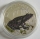 Palau 2 Dollars 2011 World of Frogs Atelopus Certus Purple Silver