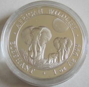 Somalia 100 Shillings 2014 Elefant