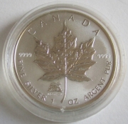 Kanada 5 Dollars 2004 Maple Leaf Lunar Affe Privy