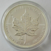 Kanada 5 Dollars 2004 Maple Leaf Lunar Affe Privy