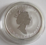 Kanada 5 Dollars 2002 Maple Leaf Lunar Pferd Privy