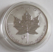 Kanada 5 Dollars 2005 Maple Leaf Lunar Hahn Privy