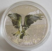 Niue 2 Dollars 2013 Birds of Prey Osprey 1 Oz Silver