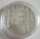 Netherlands 5 Euro 2006 Eurostar Rembrandt van Rijn Silver Proof